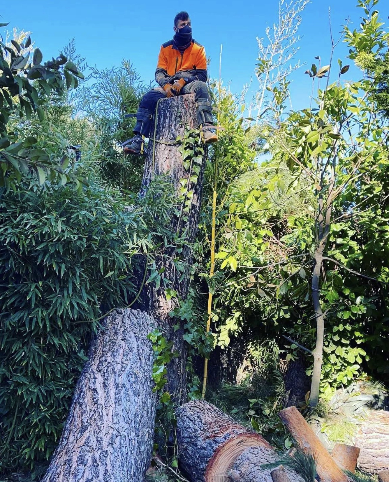 Petrut Ciutuza en acción